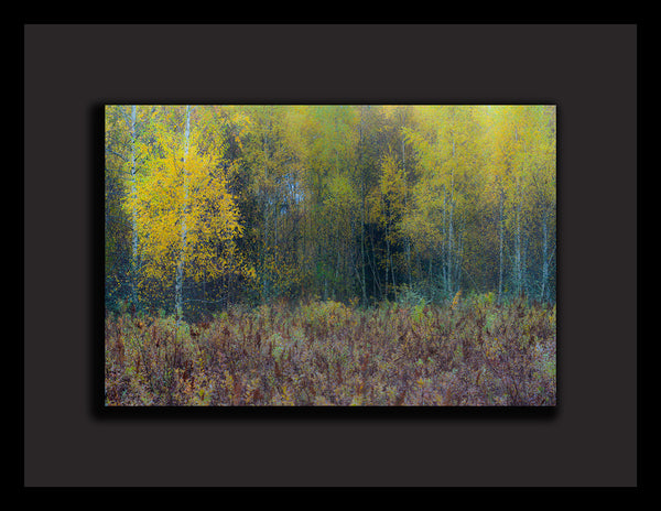 "Bellefields" - Framed