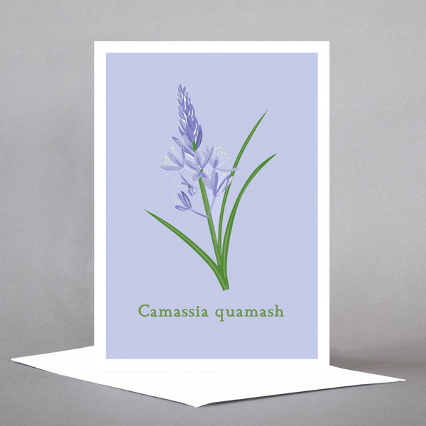 PNW Native Plants - Set of 5 Individual Cards