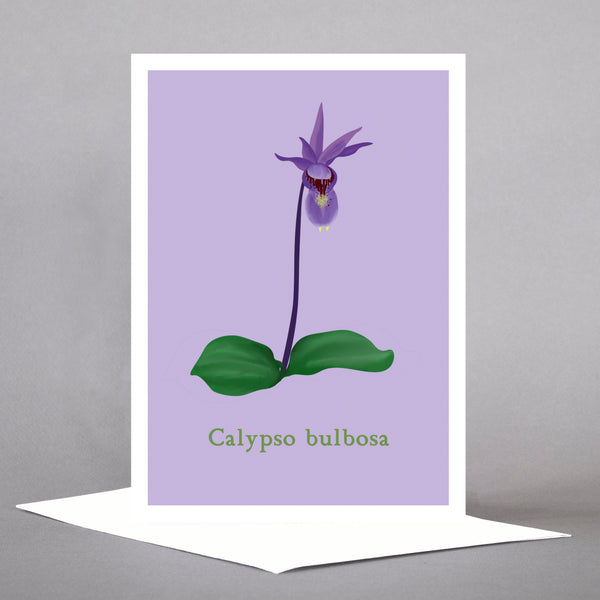 PNW Native Plants - Set of 5 Individual Cards