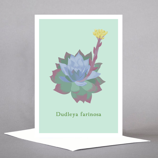PNW Native Plants - Set of 5 Individual Cards