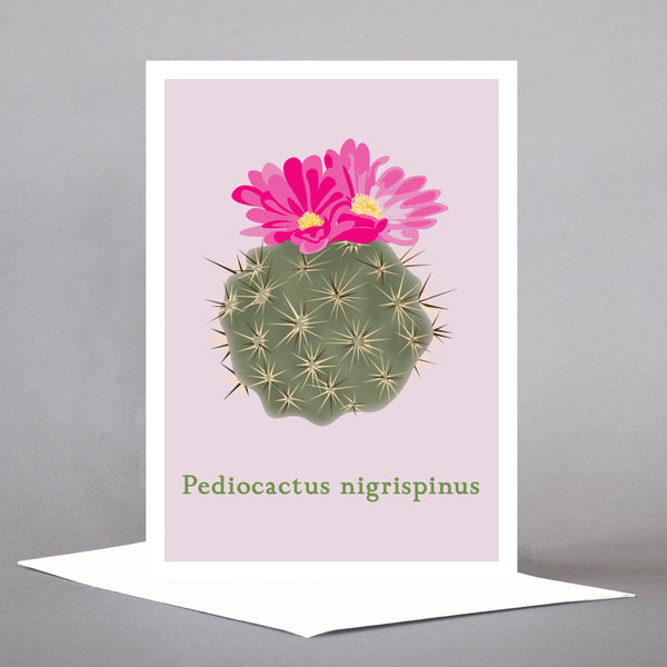 PNW Native Plants - Set of 5 Individual Cards