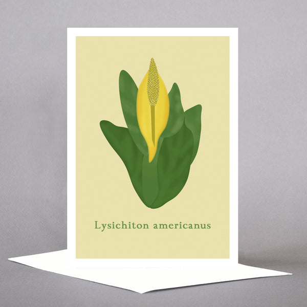 PNW Native Plants - Set of 5 Individual Cards