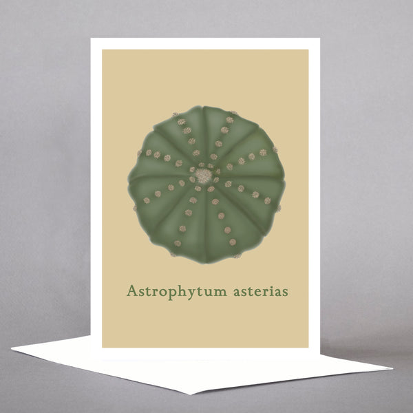 Succulents - Set of 5 Individual Cards