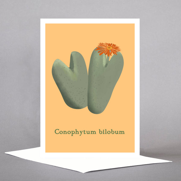 Succulents - Set of 5 Individual Cards