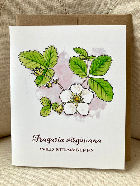 Berry Flowers of the Pacific Northwest - 5 notecard set
