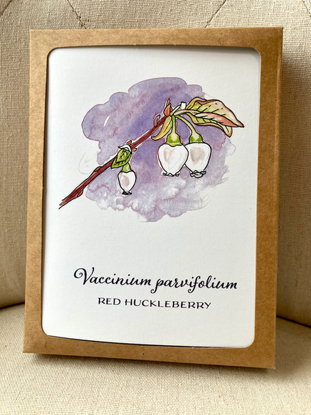 Berry Flowers of the Pacific Northwest - 5 notecard set