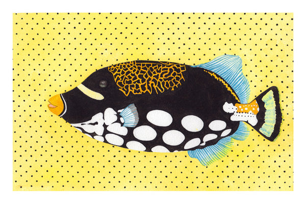 Boxed Card Set (6 cards per set)