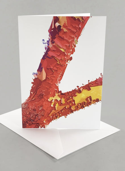 "Vashon Canopy"  Card Collection - Set of 6 Unique Designs