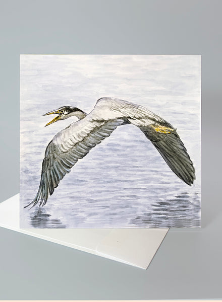 "Great Blue Heron" – Series 2 Card Collection - Set of 6 Individual Cards