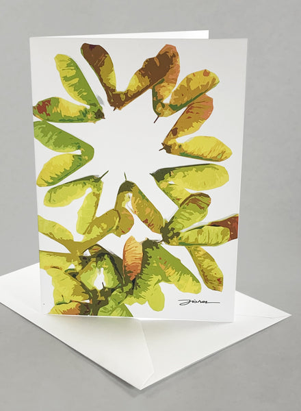 "Vashon Canopy"  Card Collection - Set of 6 Unique Designs