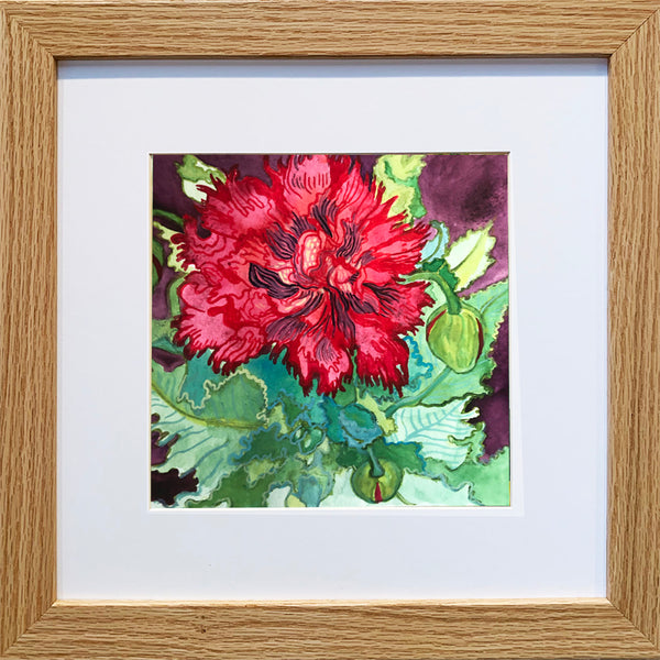 Red Poppy Original Painting/Print/Greeting Card