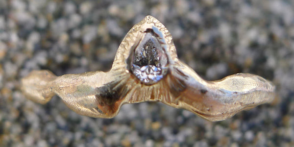 Rock Pool Barnacle Band