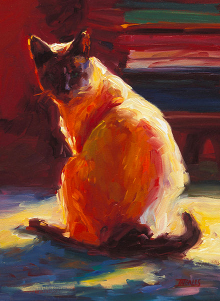 “Shingy” 5x7” cards - Set of 6