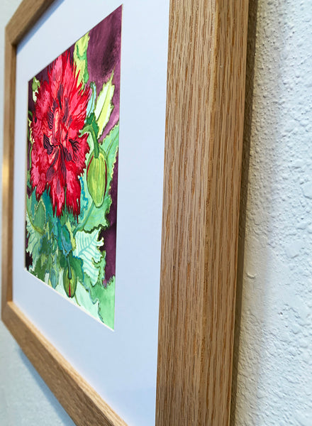 Red Poppy Original Painting/Print/Greeting Card