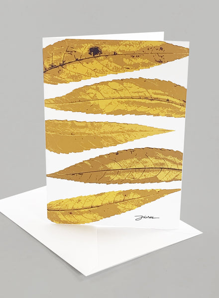"Vashon Canopy"  Card Collection - Set of 6 Unique Designs