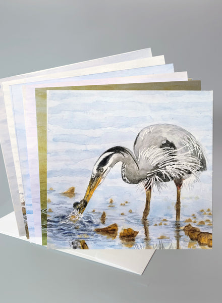 "Great Blue Heron" – Series 1  Card Collection - Set of 6 Individual Cards
