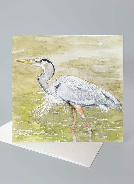 "Great Blue Heron" – Series 2 Card Collection - Set of 6 Individual Cards