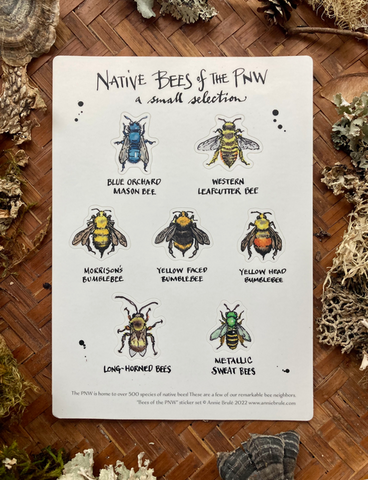 Bees of the PNW - sticker sheet