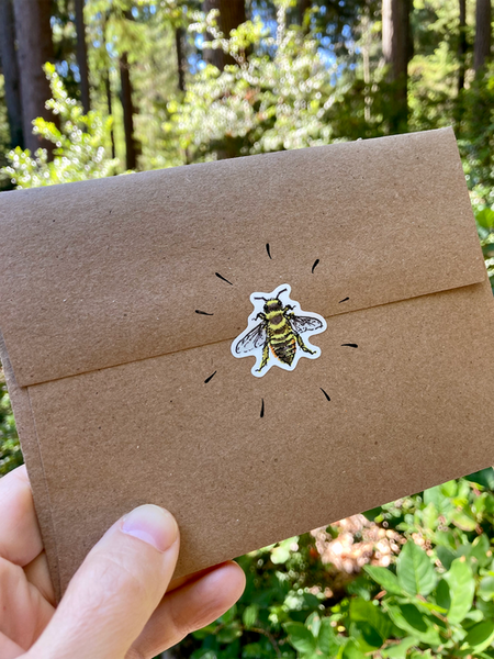 Bees of the PNW - sticker sheet