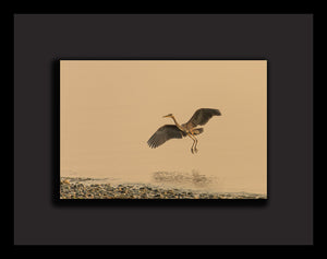 "Great Blue Heron Across Smoke-tinted Skies" - Framed