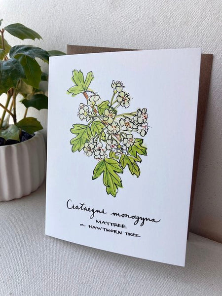 Spring plants of the Pacific Northwest - 5 notecard set