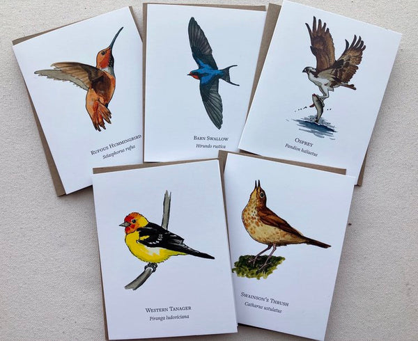 Migratory birds of the Pacific Northwest - 5 notecard set