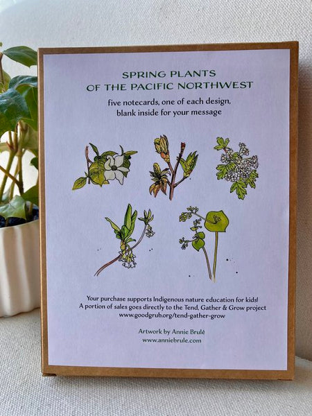 Spring plants of the Pacific Northwest - 5 notecard set