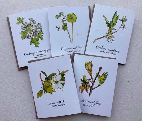 Spring plants of the Pacific Northwest - 5 notecard set