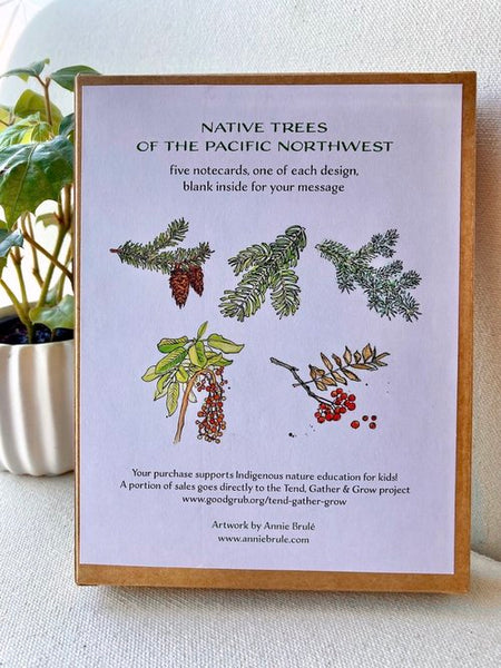 Trees of the Pacific Northwest - 5 notecard set