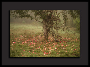 "Rhythm of Fallen Apples" - Framed