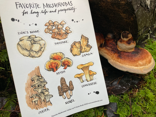 Favorite Mushrooms - sticker sheet