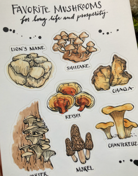 Favorite Mushrooms - sticker sheet