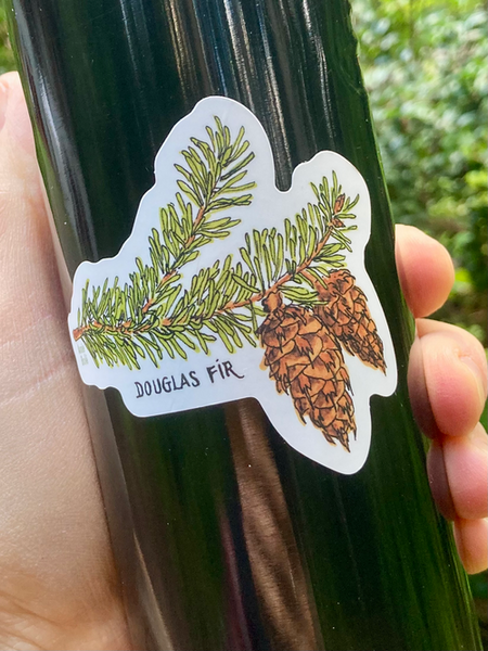 Douglas fir 4 inch sticker