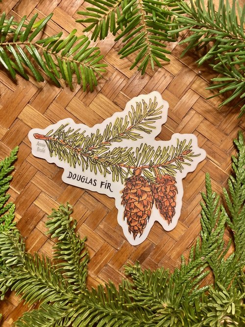 Douglas fir 4 inch sticker