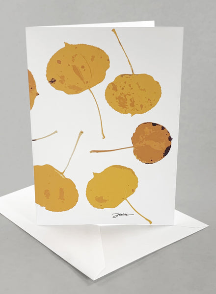 "Vashon Grove" Card Collection - Set of 6 Unique Designs