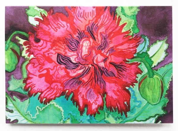 Red Poppy Original Painting/Print/Greeting Card
