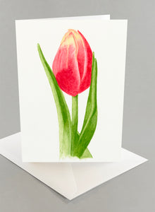 Tulip - Set of 6 Cards & Envelopes