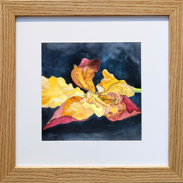 Yellow Iris Original Painting/Greeting Card
